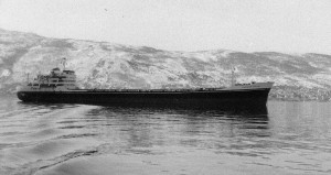 Finnamore Meadow - Narvik Norway