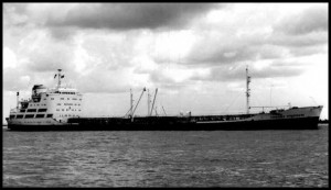 Overseas Adventurer - Cherryleaf © IL